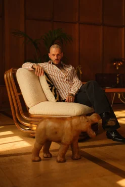 Strellson Hemden-Hemd Sancho x Moritz Taylor, hellbraun/weiß gestreift